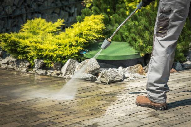 Best Roof Washing  in Babson Park, FL